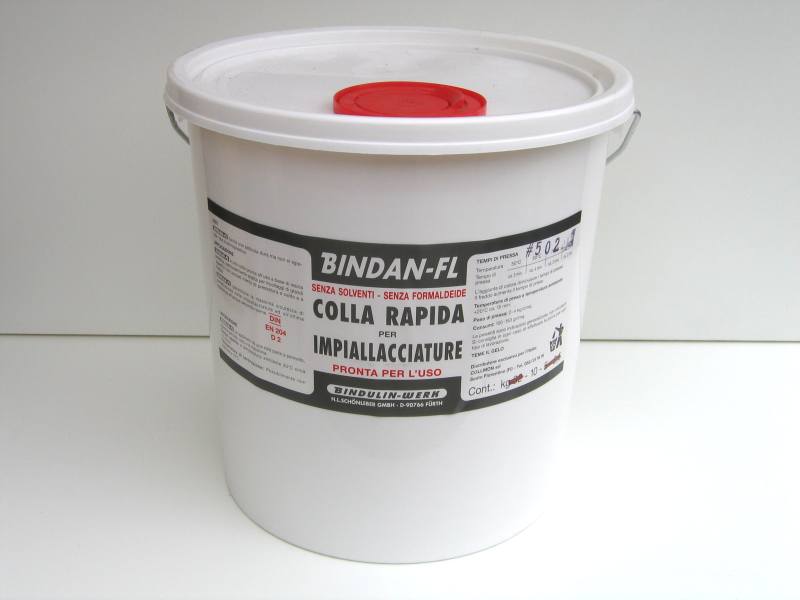 COLLMON -  Colla BINDAN-FL D2 vinilica per impiallacciature - col. BIANCO - q.ta 10 KG