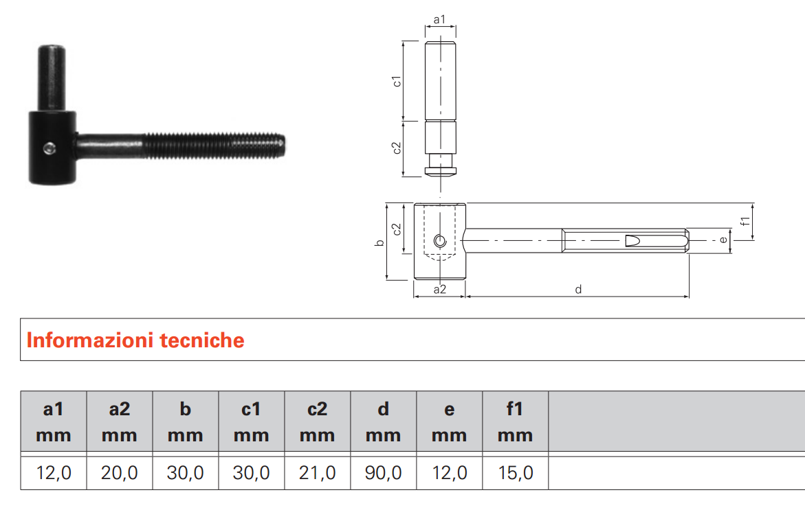 SFS INTEC -  Cardine ART 175 ad avvitare per persiane e scuri con boccola, tappo e spina - col. NERO RAL9005 - ø - diametro 12 - a mm PERNO  10/12X30